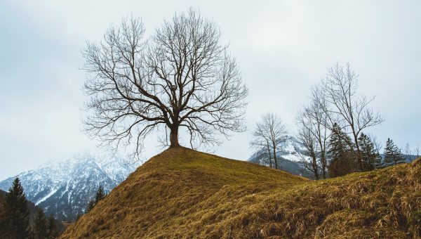 AI纪录片分区封面，AI生成的自然风光与历史场景重现，画面震撼写实